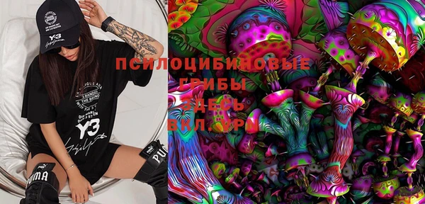 крисы Балахна
