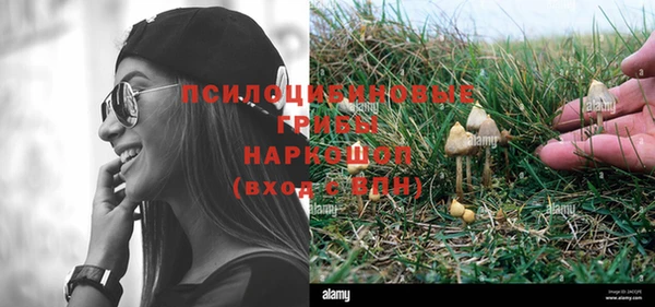 крисы Балахна