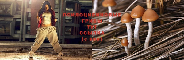 молекула духа Балабаново